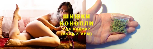 прущие грибы Абинск