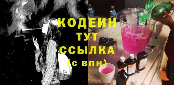 прущие грибы Абинск