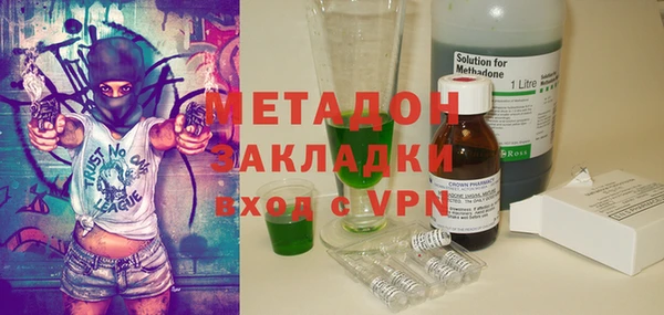 прущие грибы Абинск