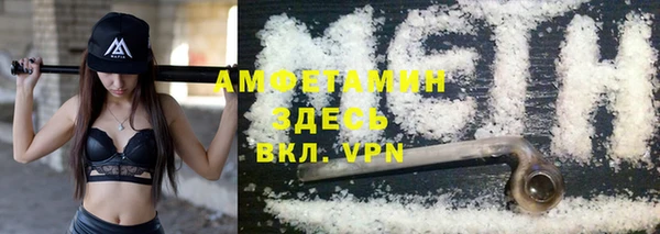 прущие грибы Абинск