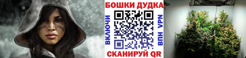 цена Тольятти Бошки Шишки VHQ
